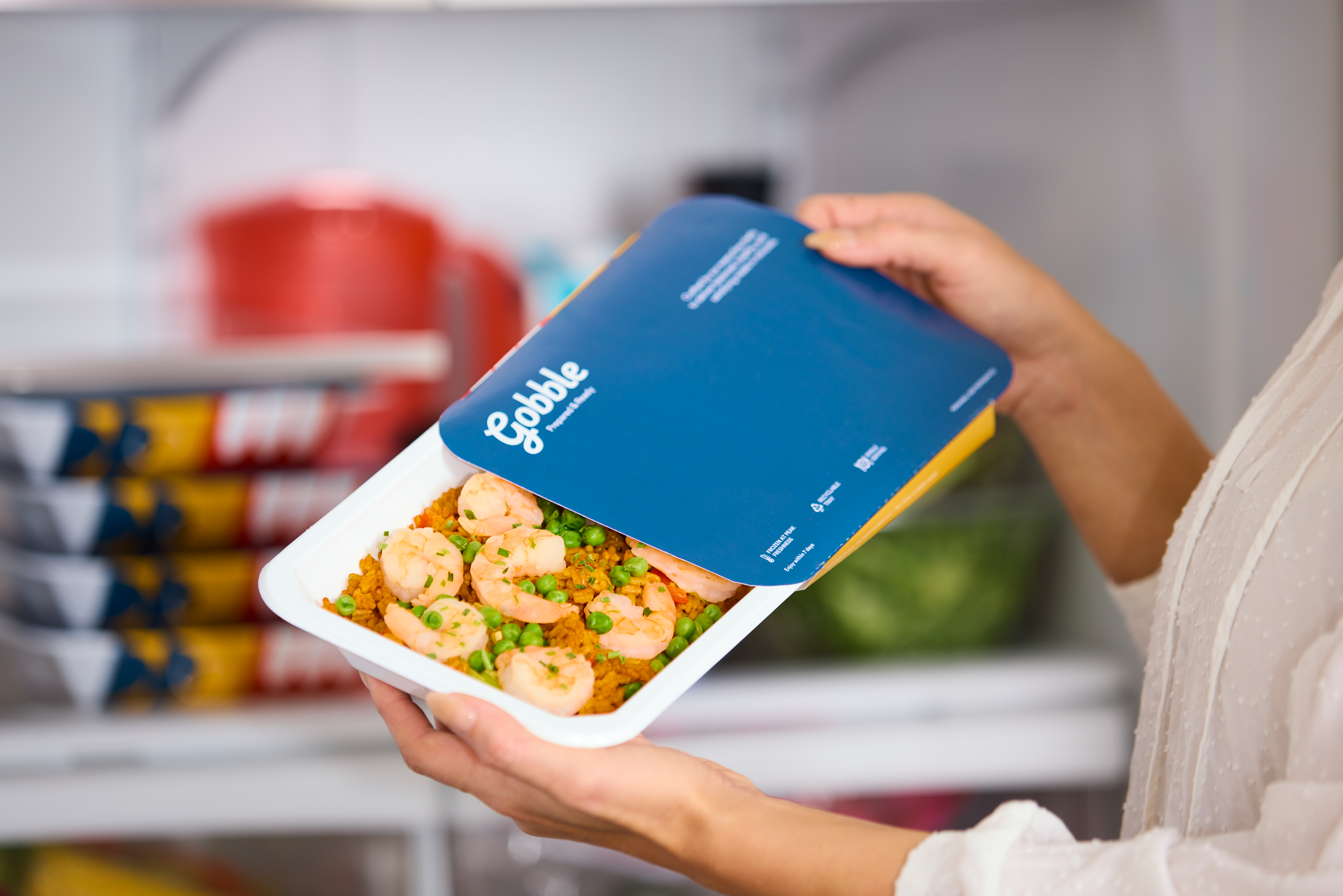 2024_07_01_GB_PR_0384_Fridge (1).jpeg